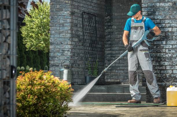 Best Soft Washing for Delicate Surfaces in Heidelberg, TX